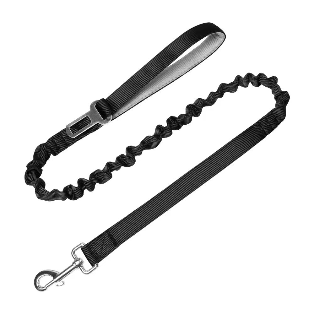 Bungee Dog Leash