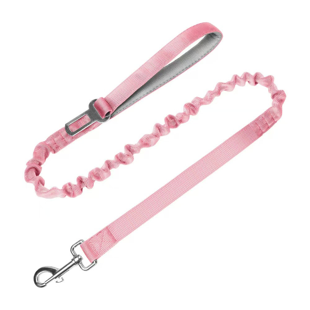 Bungee Dog Leash