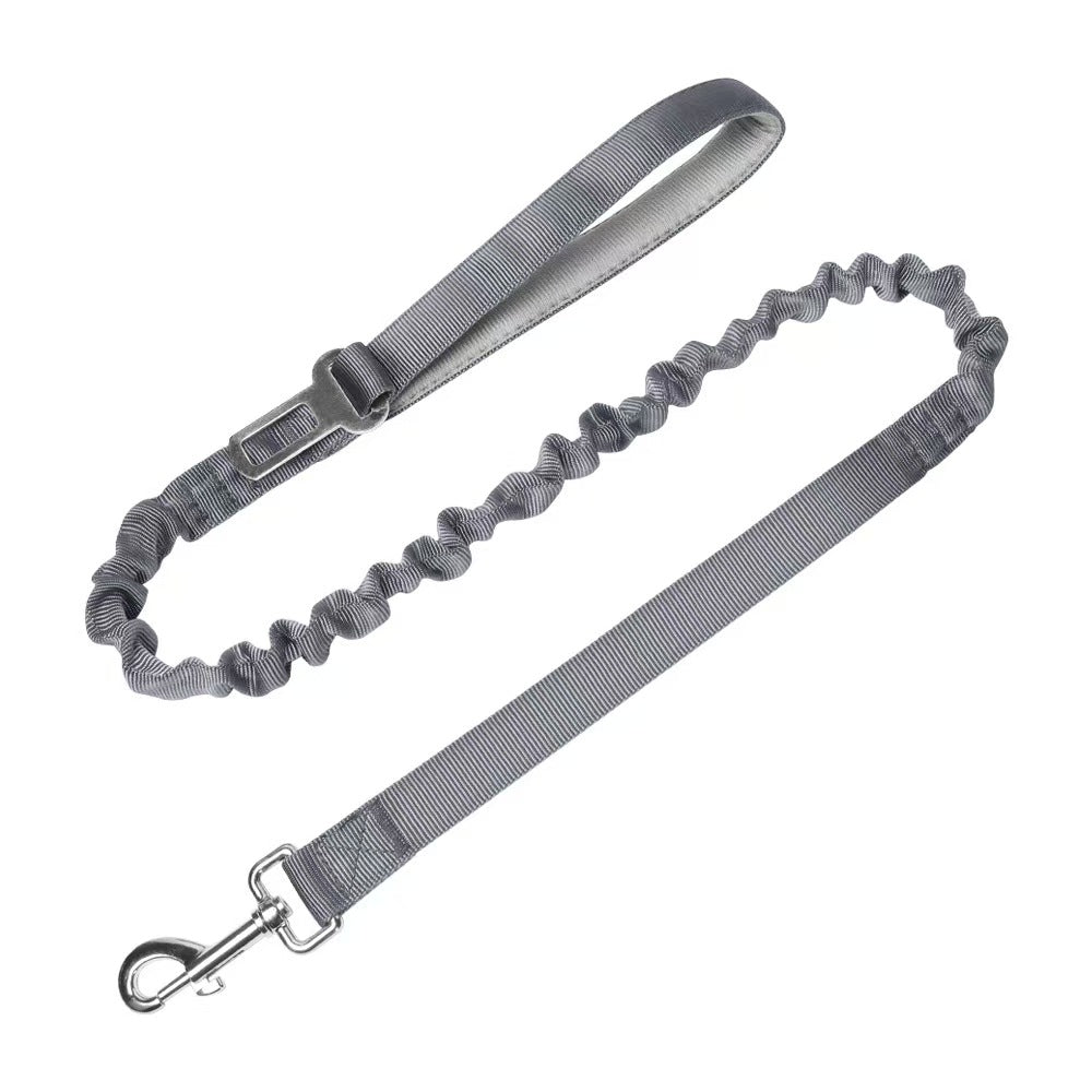 Bungee Dog Leash