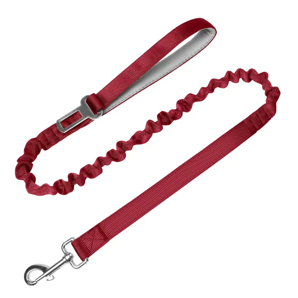 Bungee Dog Leash