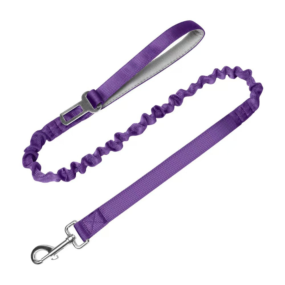 Bungee Dog Leash
