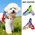 Pet Home Harness