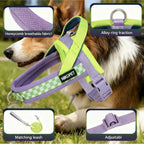 Pet Home Harness
