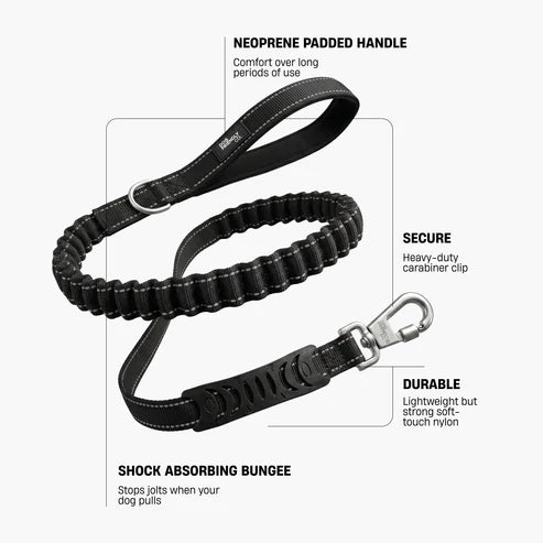 Bungee Dog Leash