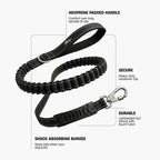 Bungee Dog Leash